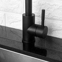 Kitchen Sink Faucet with Single Handles, Black