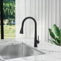 Single Handle Pull Down Sprayer Kitchen Faucet with Advanced Spray, Pull Out Spray Wand in Matte Black