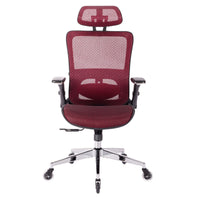 RED Ergonomic Mesh Office Chair, High Back - Adjustable Headrest with Flip-Up Arms, Tilt and lock Function, Lumbar Support and blade Wheels, KD chrome metal legs