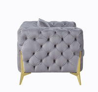 ACME Jelanea Chair w/Pillow in Gray Velvet & Gold Finish LV01408