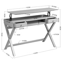 Lift Desk with 2 Drawer Storage, Computer Desk with Lift Table Top, Adjustable Height Table for Home Office, Living Room,grey