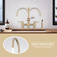 Double Handle Bridge Kitchen Faucet with Side Spray