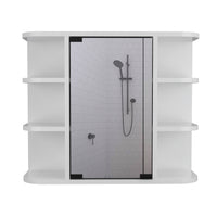 Roseburg 6-Shelf Medicine Cabinet with Mirorr White