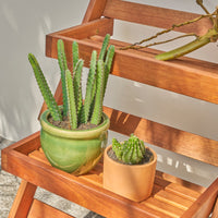 Malibu Outdoor Three-layer Wood Garden Plant Stand