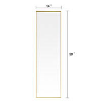 Full Length Mirror with Hanging Hooks for Door, Wall Mounted Decoration Dressing Mirror, Gold, 50” x 14”