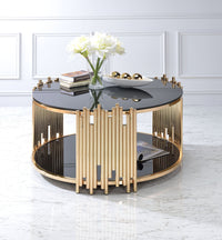 ACME Tanquin Coffee Table in Gold & Black Glass 84490