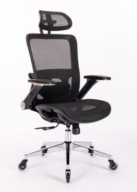 Ergonomic Mesh Office Chair - Rolling Home Desk Chair with 4D Adjustable Flip Armrests, Adjustable Lumbar Support and Blade Wheels