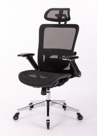 Ergonomic Mesh Office Chair - Rolling Home Desk Chair with 4D Adjustable Flip Armrests, Adjustable Lumbar Support and Blade Wheels